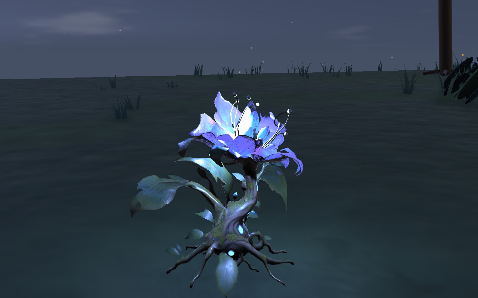 Full bloom with the Seed close by