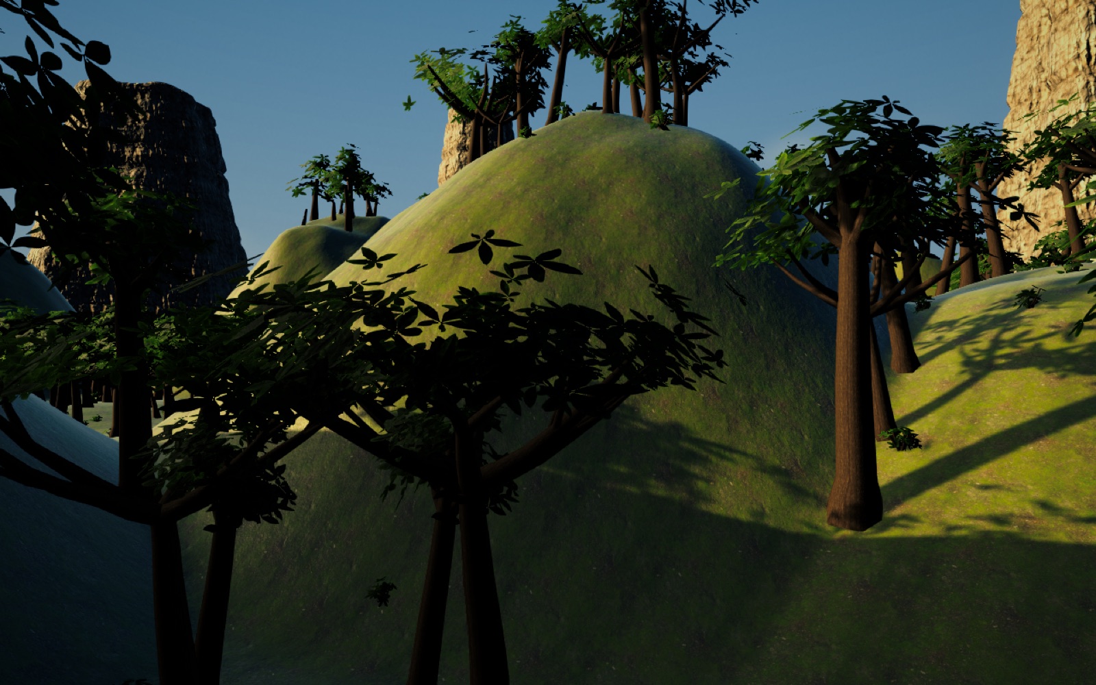 The forest before: thin crowns
